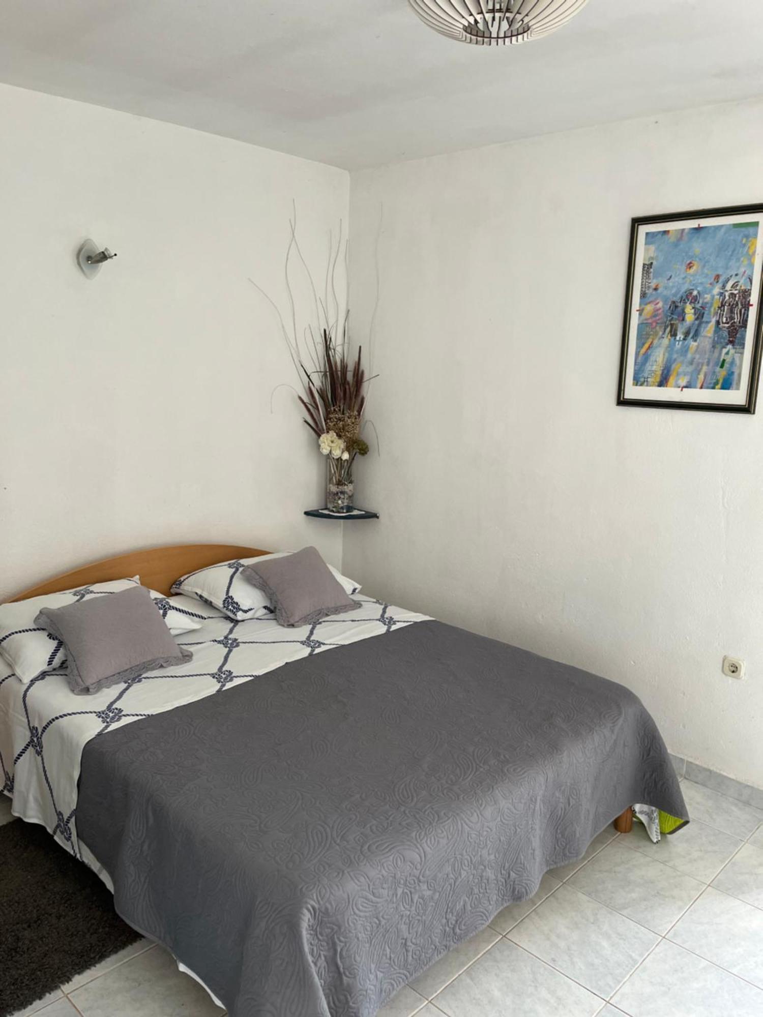 Apartments Despotovic ヴィス エクステリア 写真